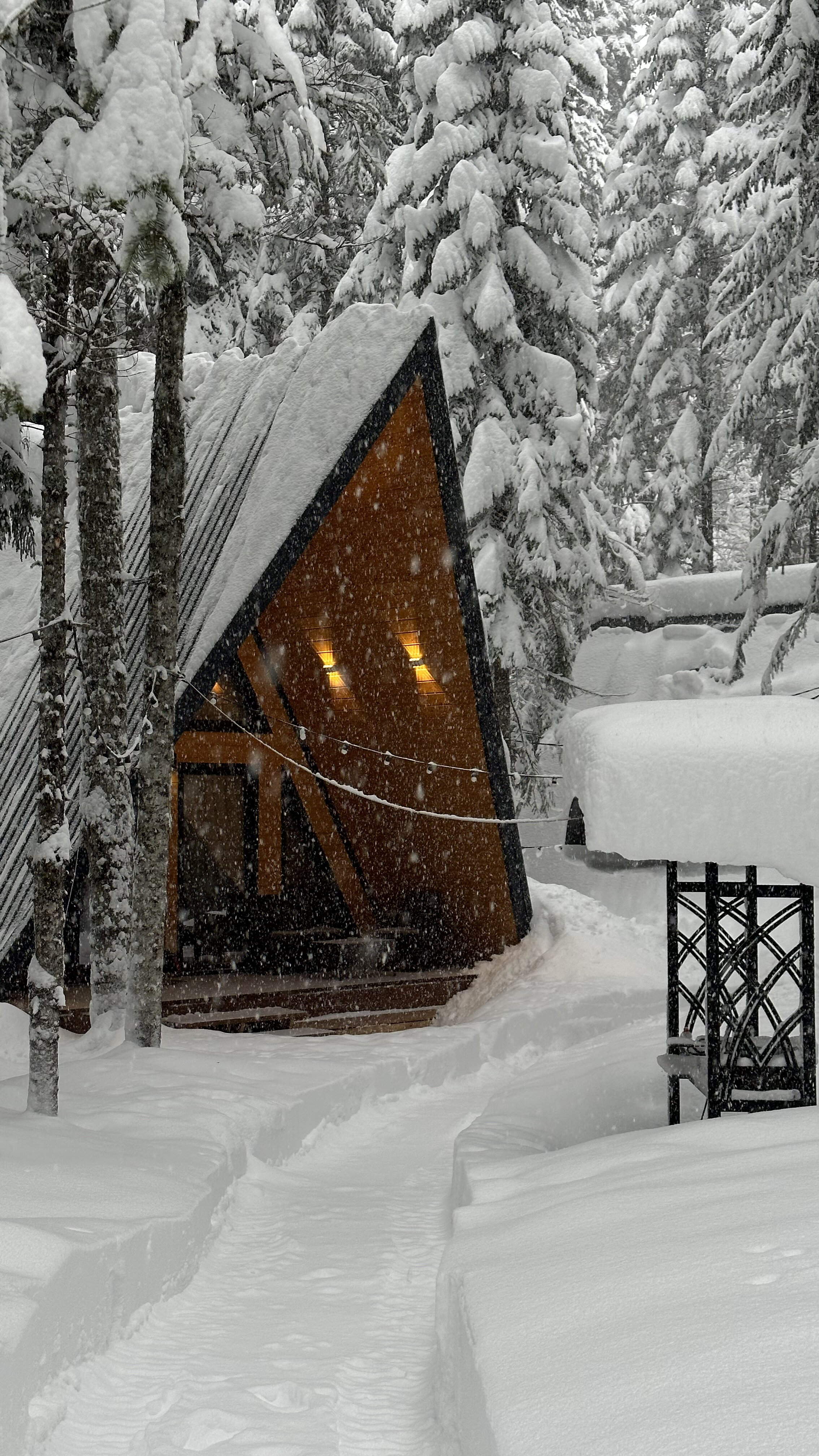 Фото Времена Года