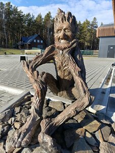 ForRest