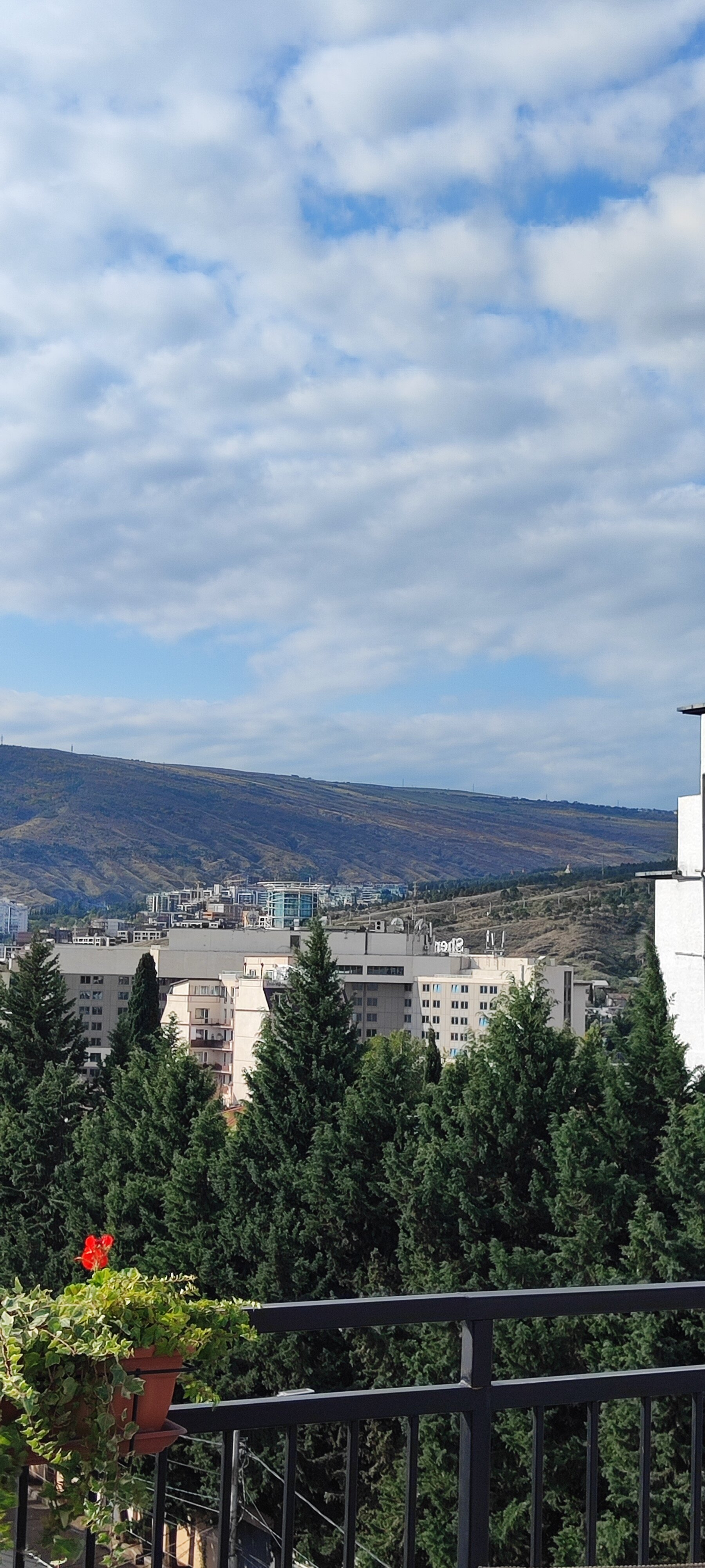 Фото Timber Boutique Hotel