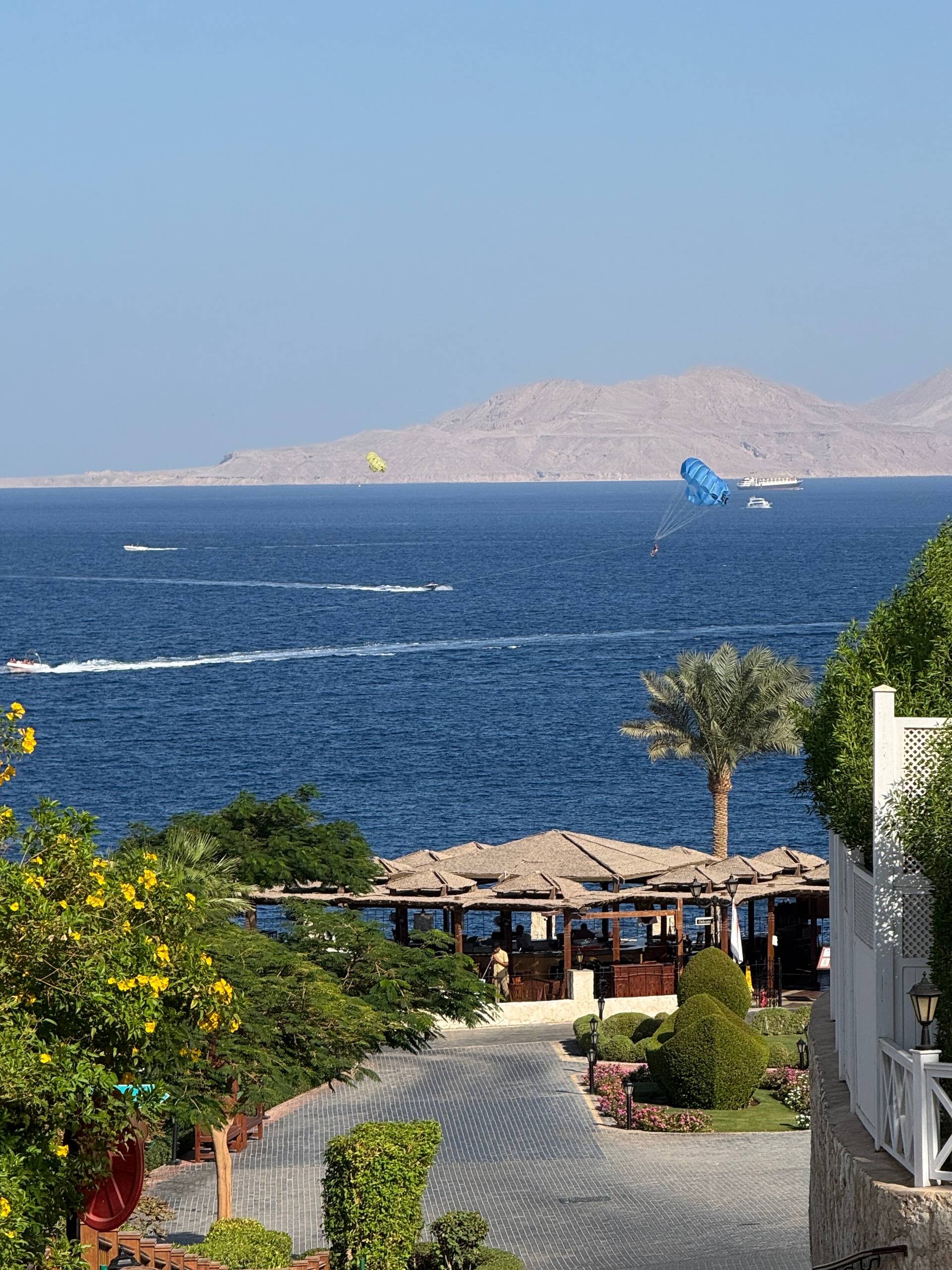 Фото Grand Rotana Resort & SPA 