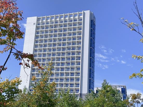 Фото Skytop Hotel Incheon Airport