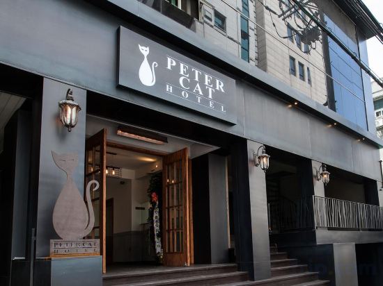 Фото Shinchon Peter Cat