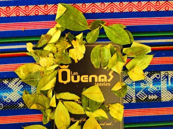 Фото Hotel Las Quenas