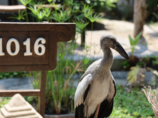 Фото Railay Village Resort