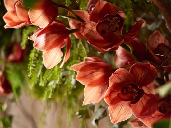 Фото Hilton London Bankside