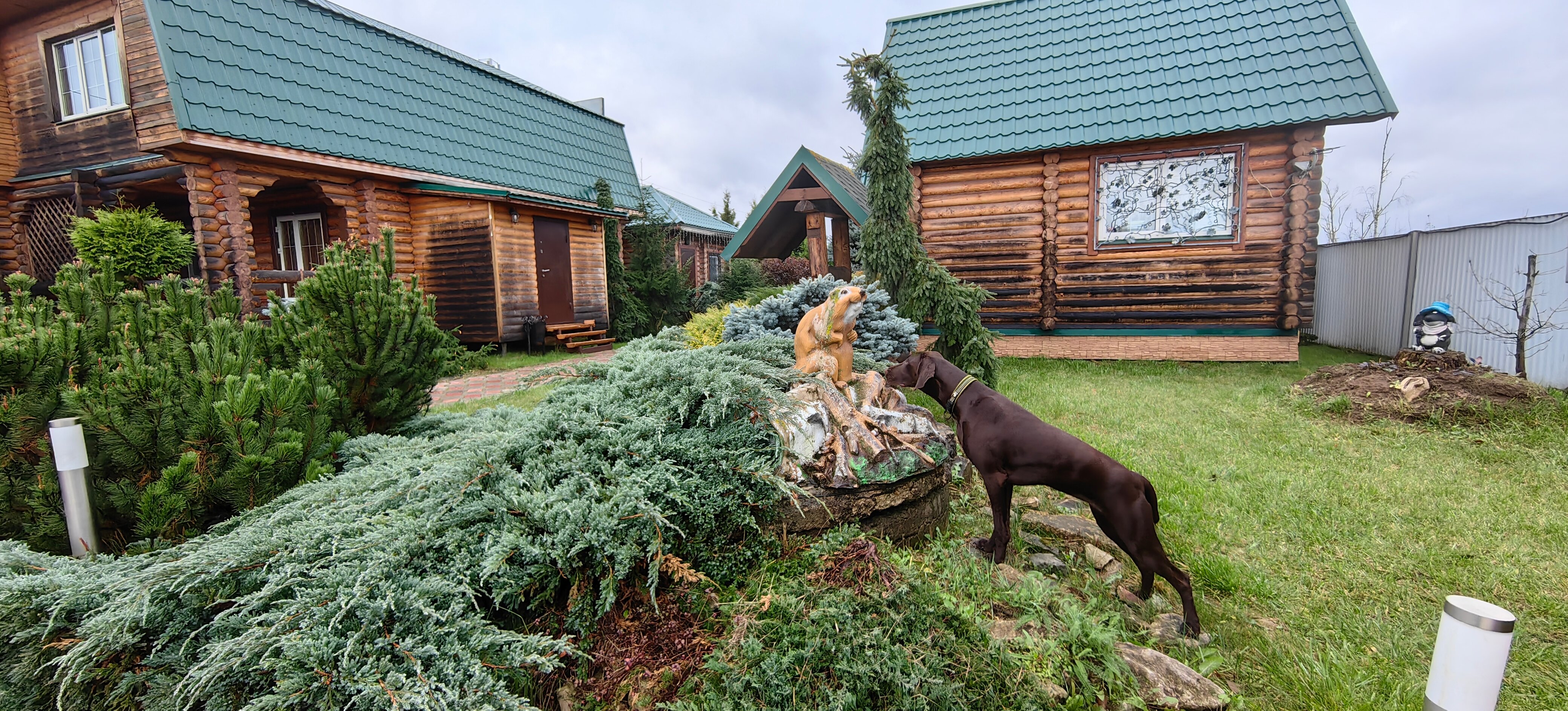 Фото Лукоморье