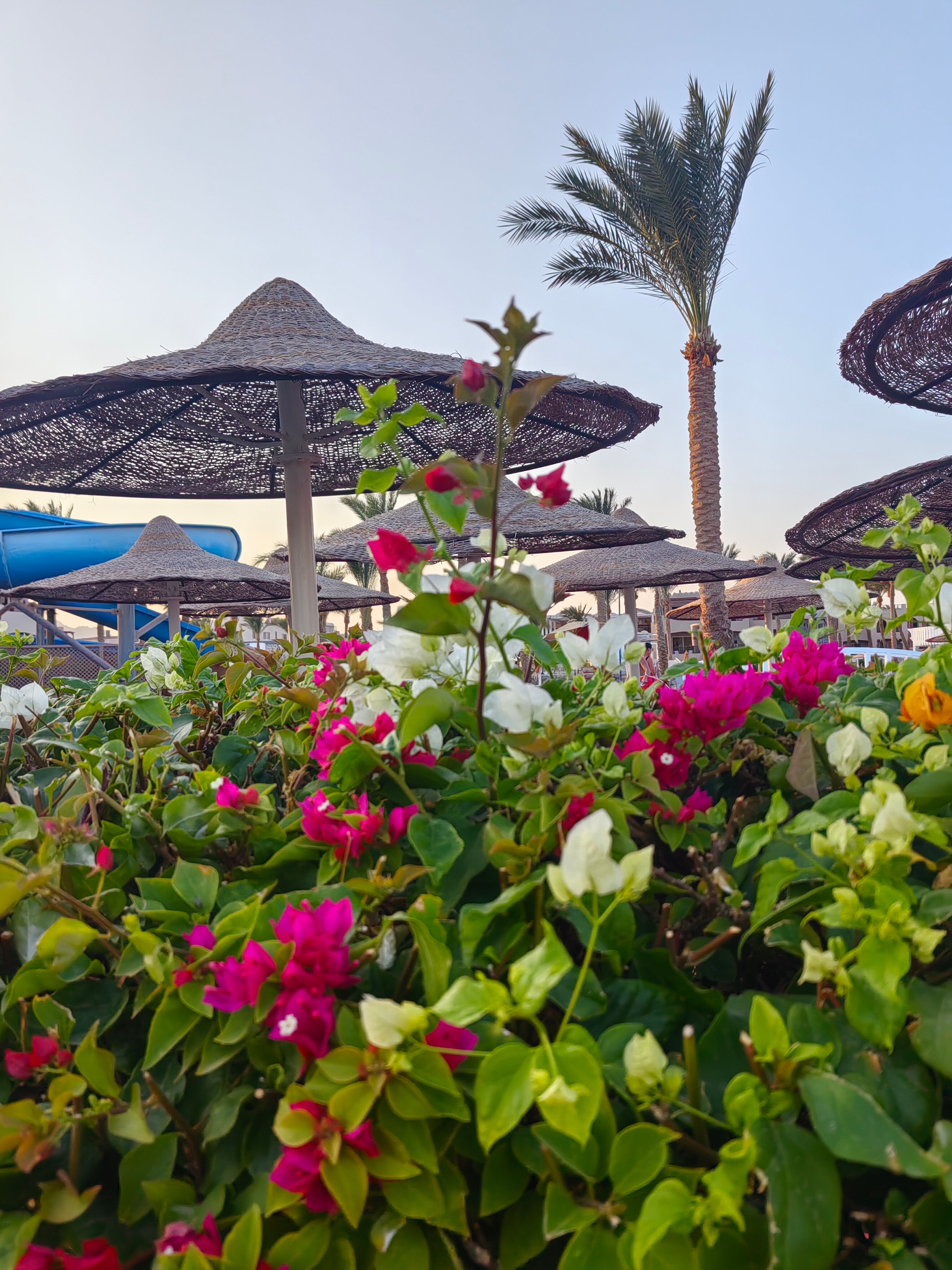 Фото Sea Beach Aqua Park Resort