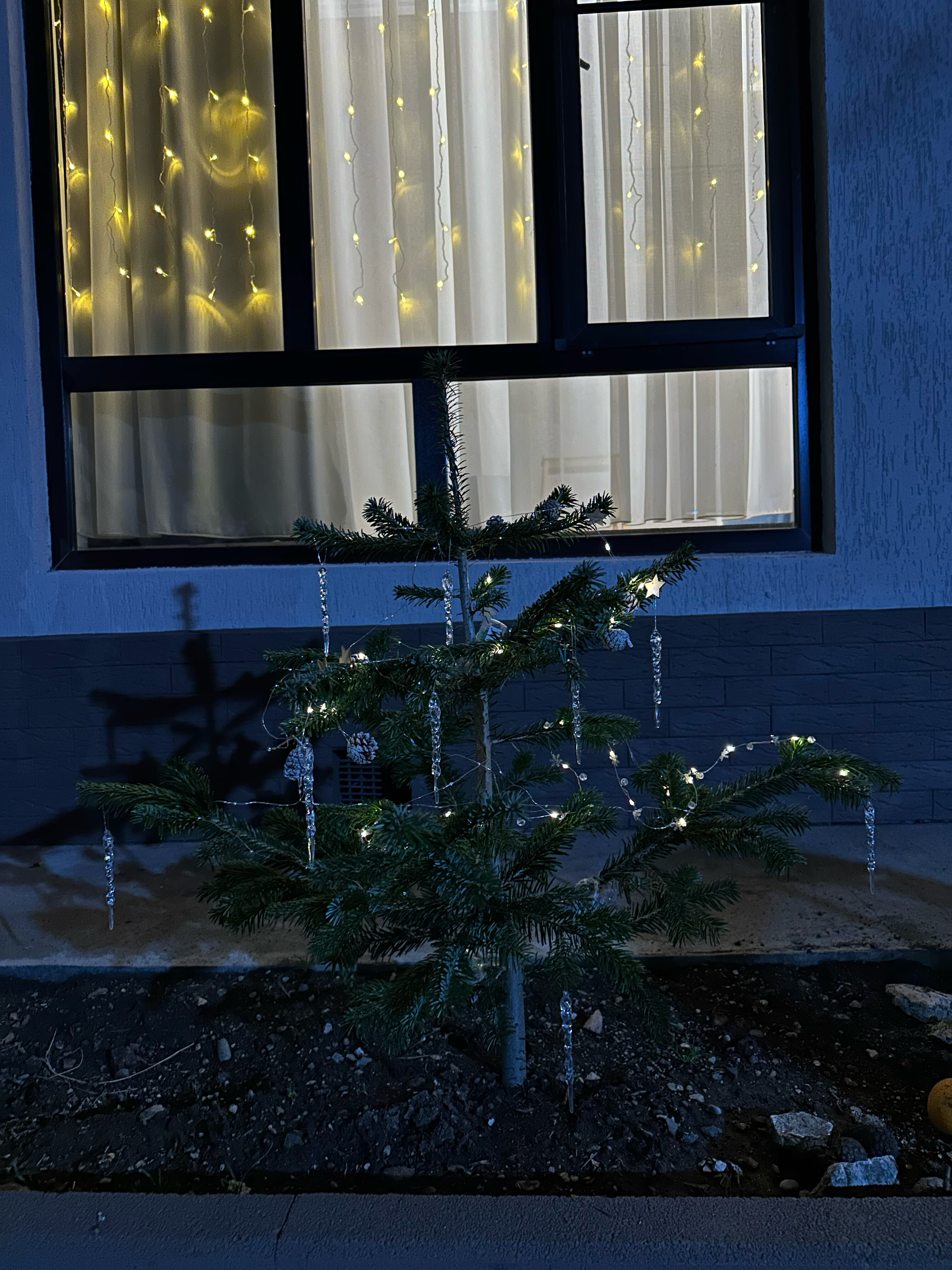 Фото Домики у Ксюши