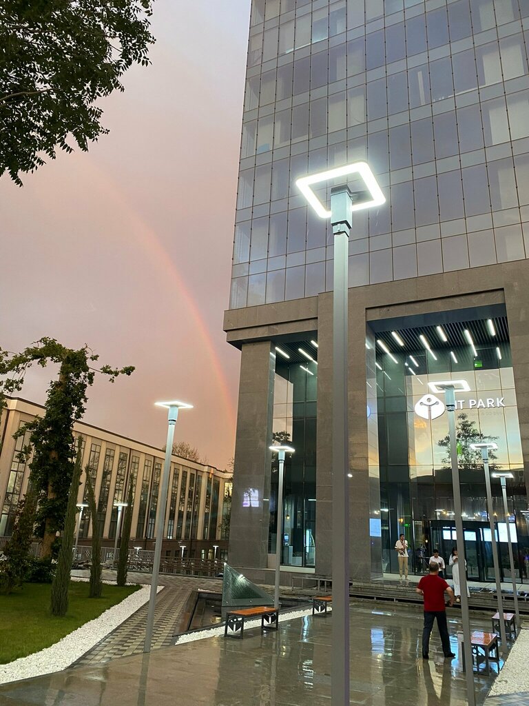 IT company IT Loyihalar, Tashkent, photo