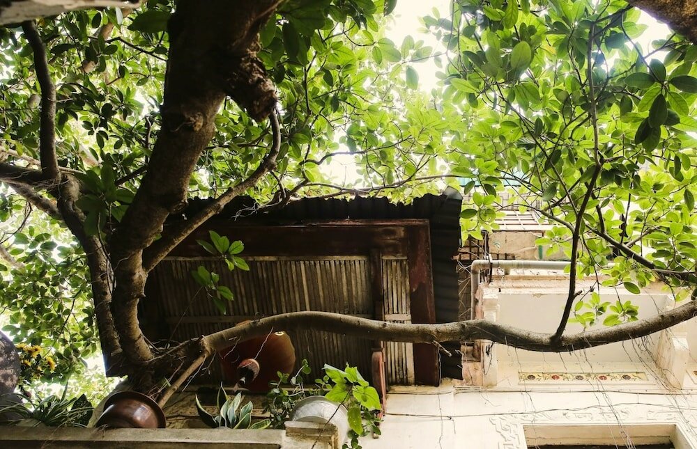 Фото Singita Classy Boutique Hotel