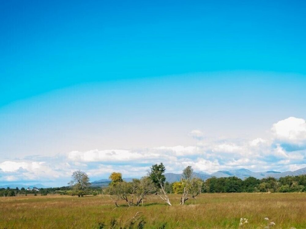 Фото Shenavallie Bed & Breakfast and self catering