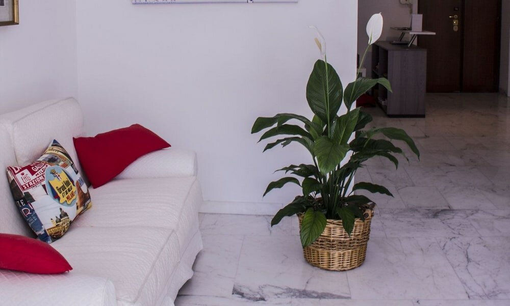 Фото Domus Raffaello suite in Rome