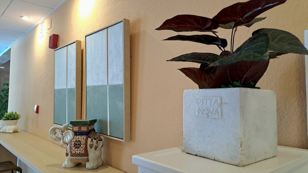 Фото Hotel Rosamar Maritim