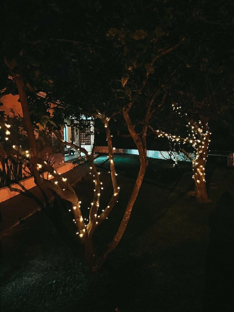 Фото Quinta Amarela