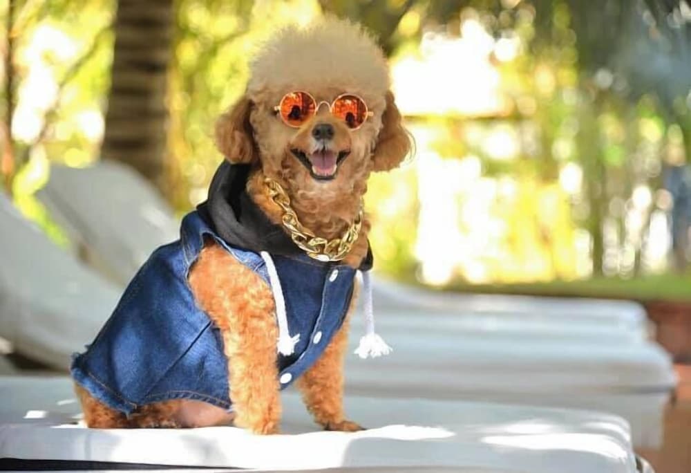 Фото Full Moon Village