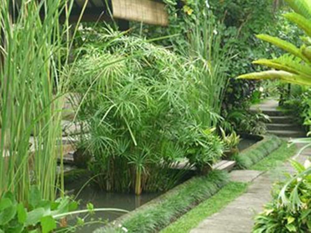 Фото Bliss SPA Ubud Hotel