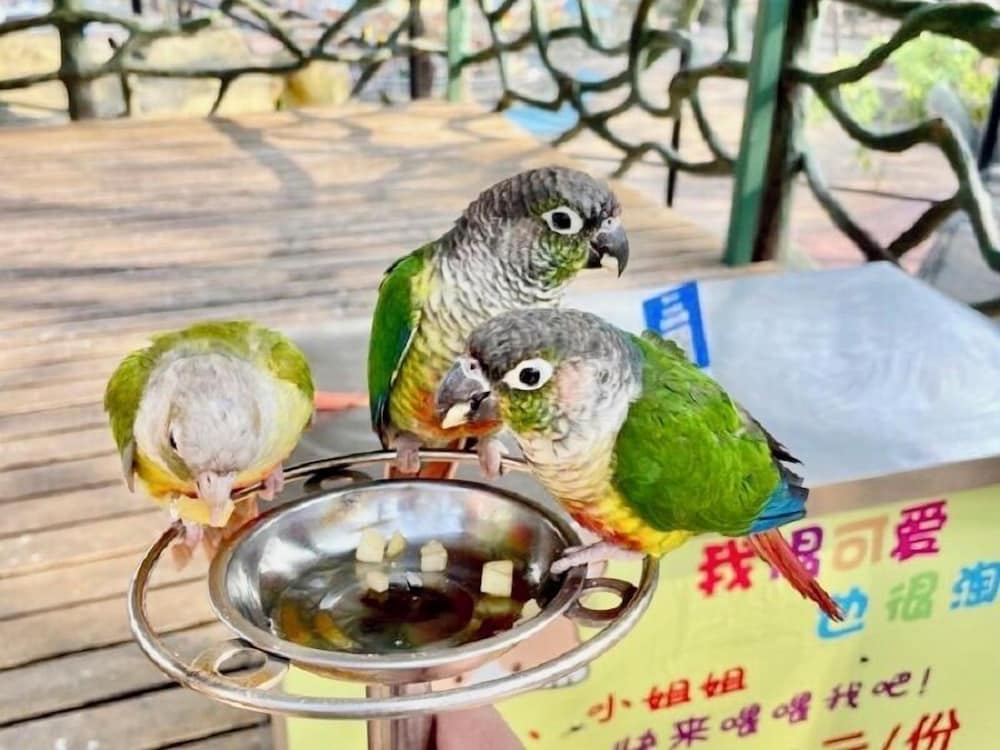 Фото Guilin Crystal Crescent Moon Hotel