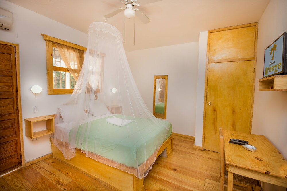 Фото Pacot Breeze