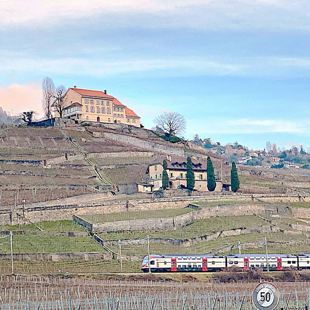 Фото Rivage Hotel Restaurant Lutry