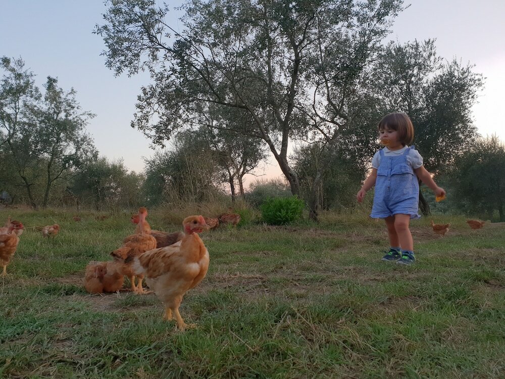 Фото Fattoria di Maiano
