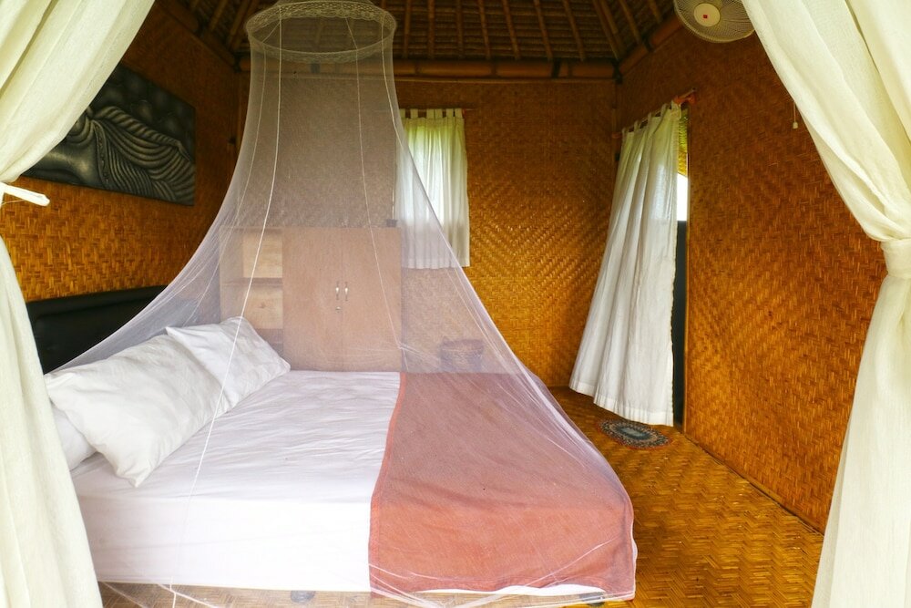 Фото Moon Bamboo