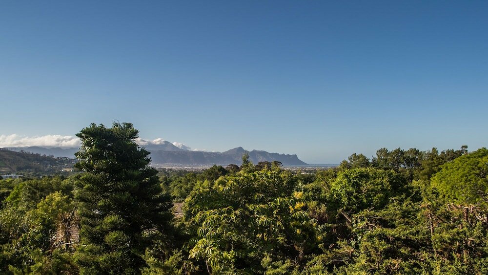 Фото Boutique Villa Guesthouse