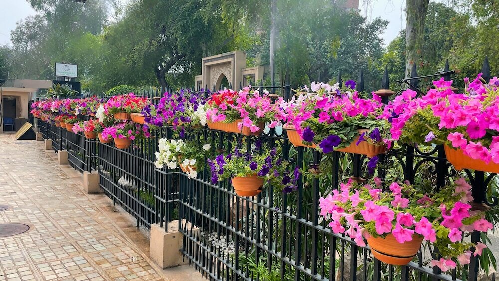 Фото Heritage Luxury Suites- All Suite hotel