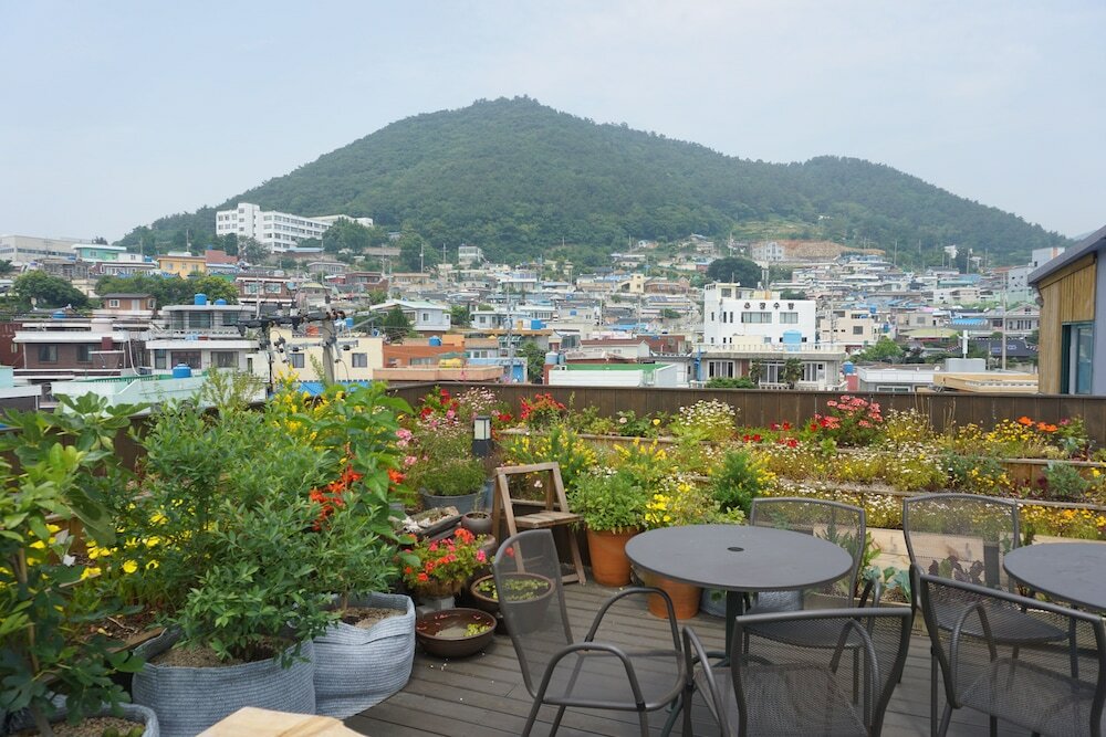 Фото Grim Garden Guest House