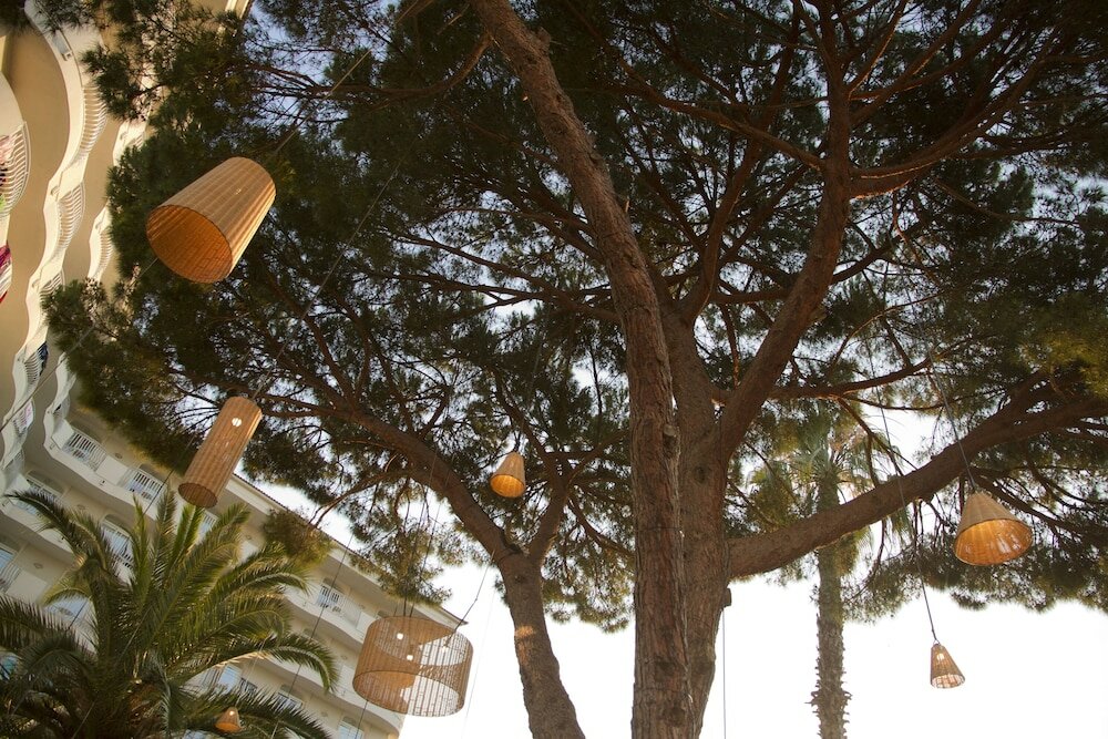 Фото Alegria Fenals Mar