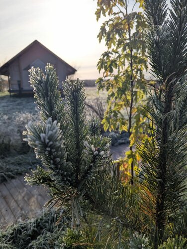 Дом отдыха Носороги в Тверской области