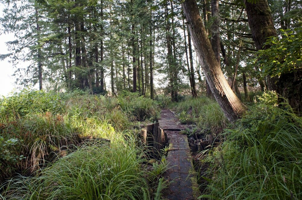 Фото Hotel Zed Tofino