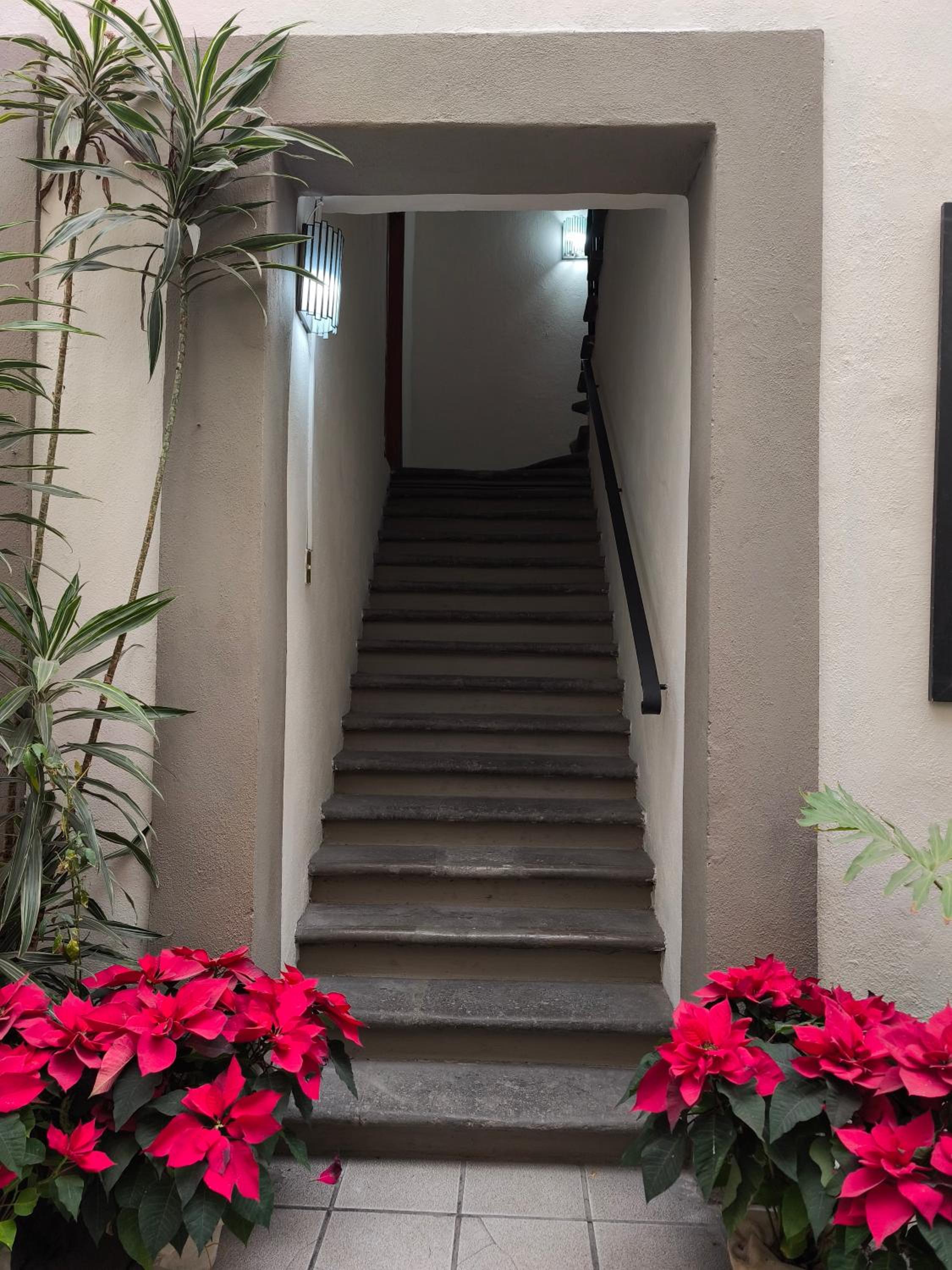 Фото Hotel Casa Morena