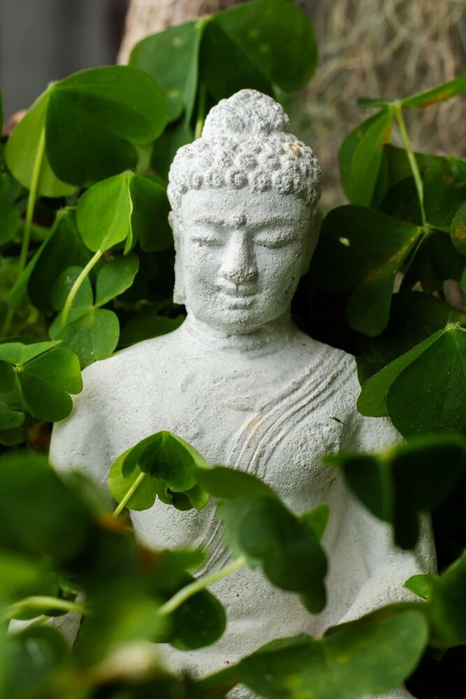 Фото Amery House