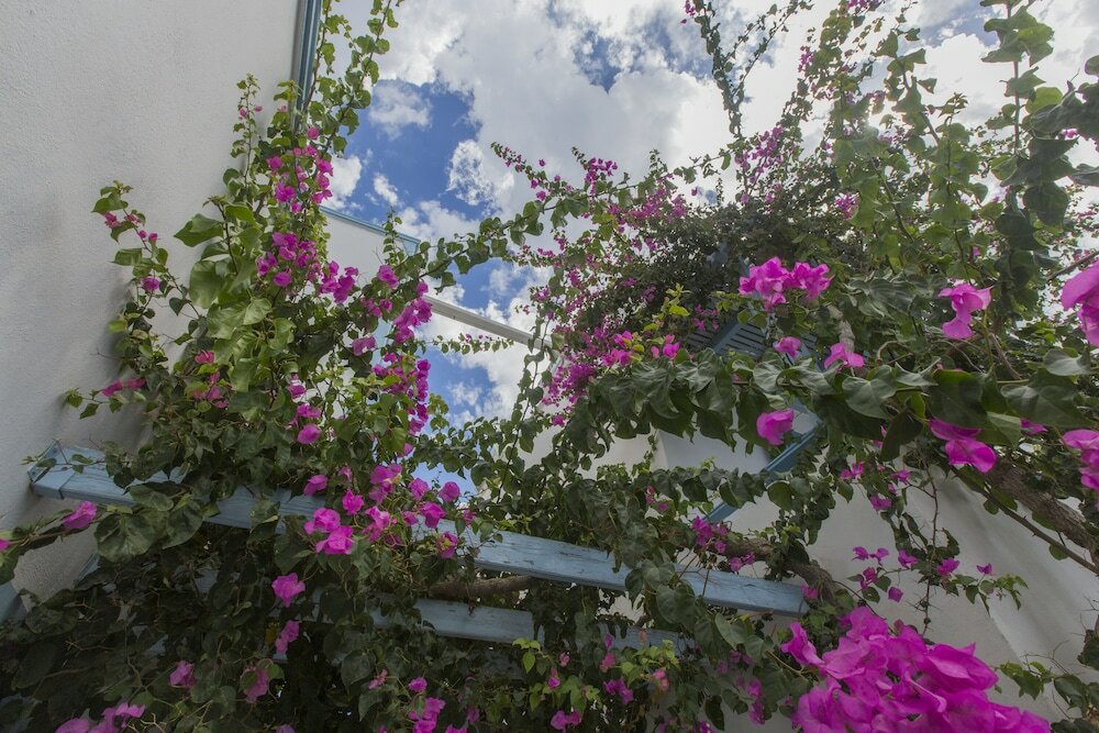 Фото Preka Maria Hotel