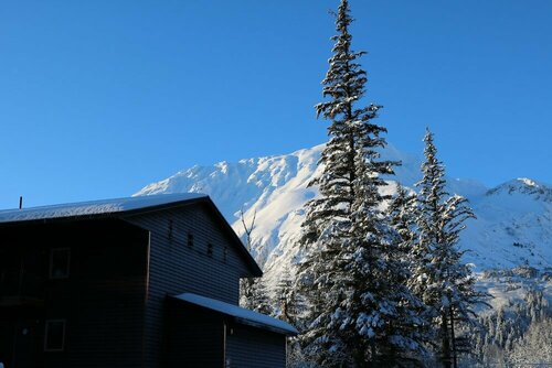 Гостиница Spruce Lodge в Штате Аляска