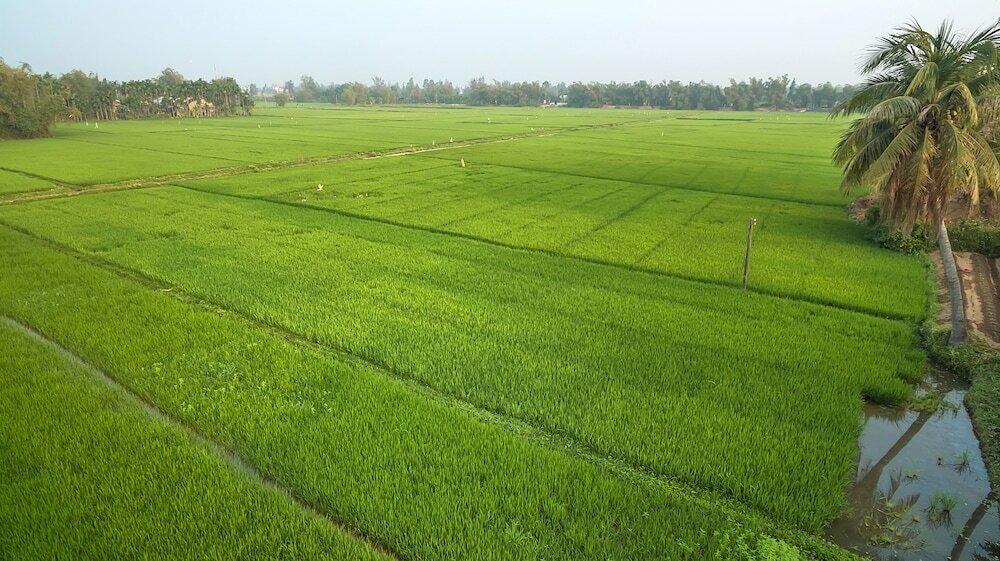 Фото La Siesta Hoi An Resort & SPA