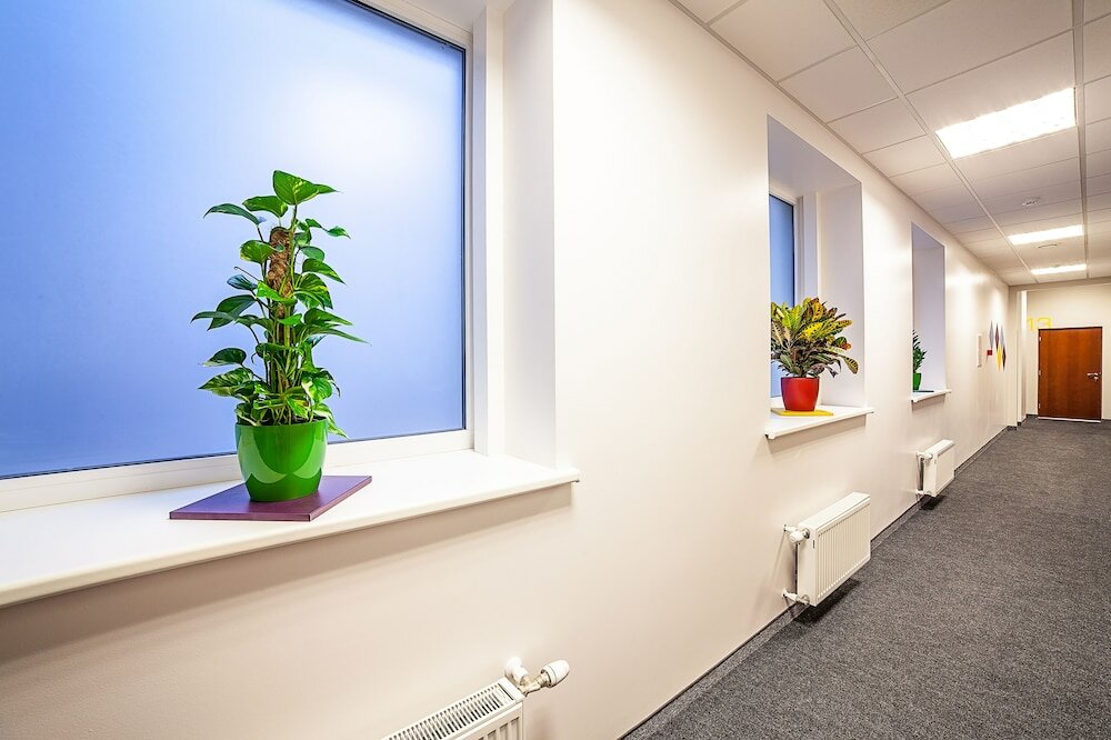 Фото Mosaic Hotel