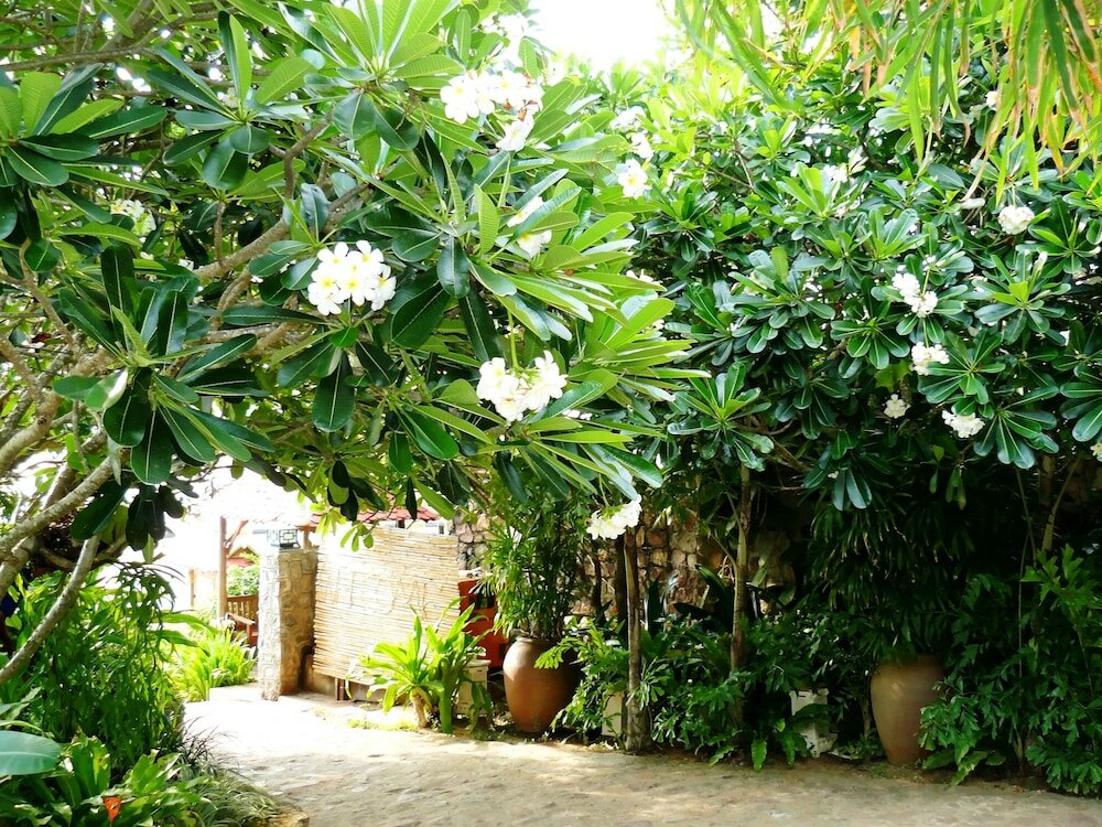 Фото Mealea Resort