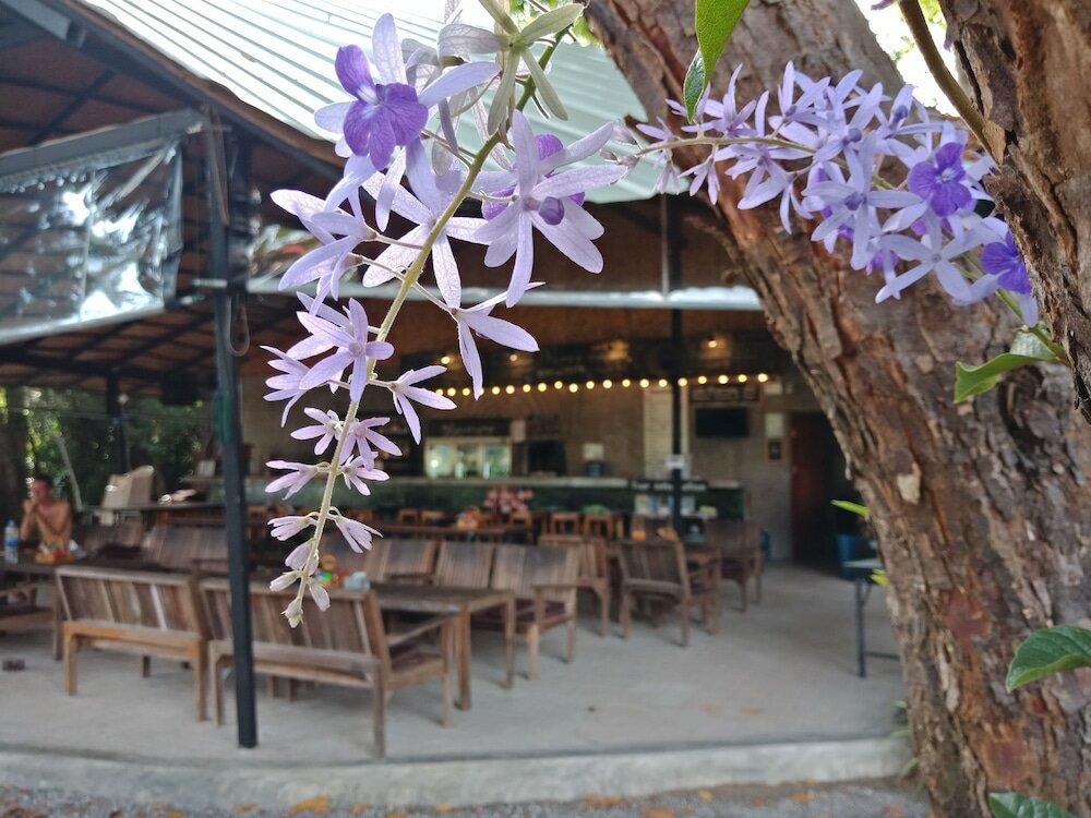 Фото Blanco Hostel at Lanta