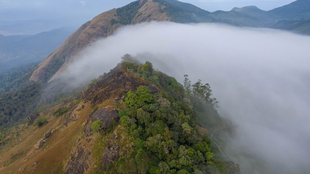 Фото Nature Zone Jungle Resort