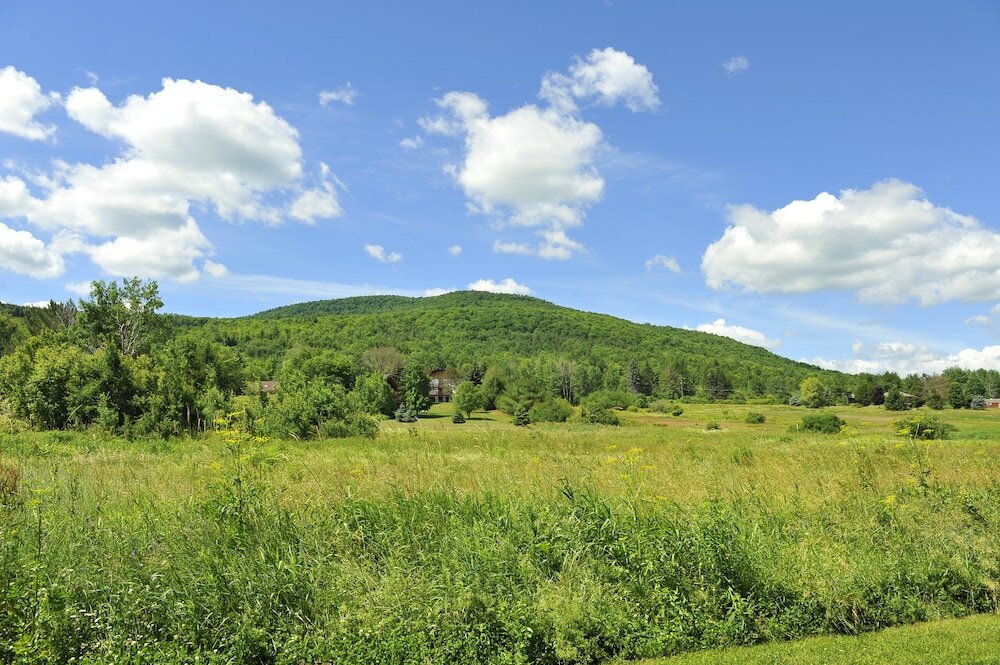 Фото Hotel Vienna