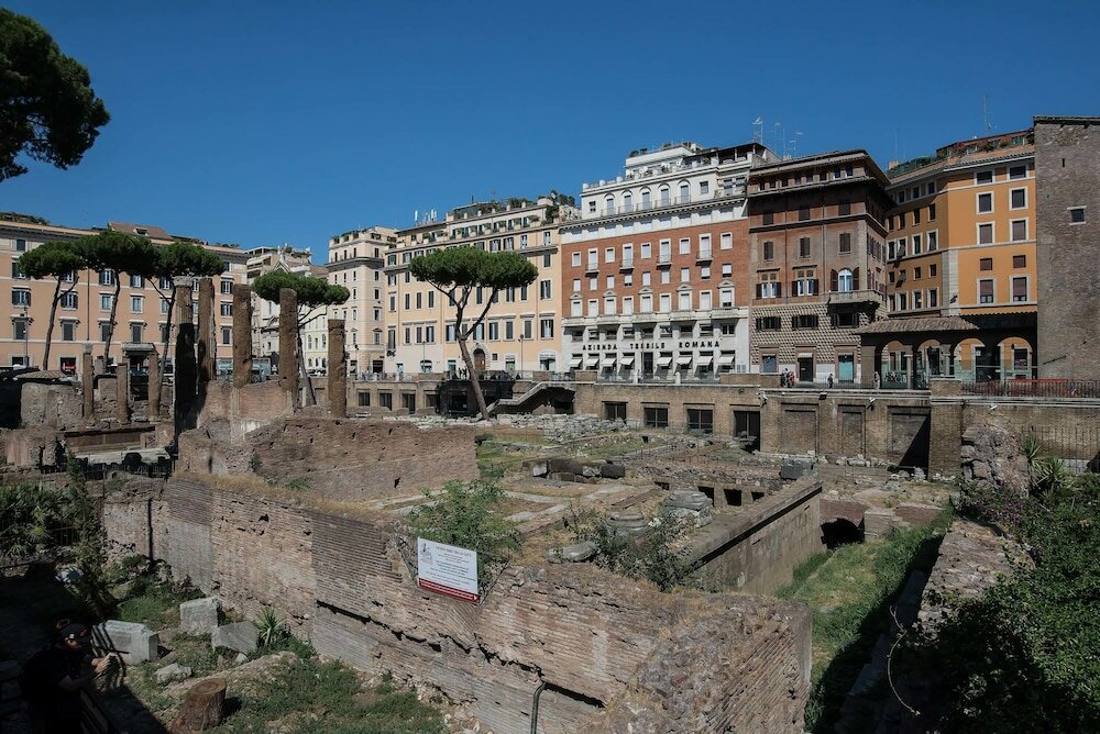 Фото Superior Relais