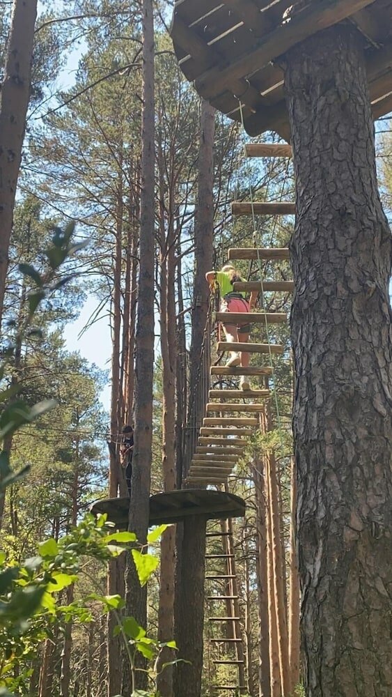 Фото Hotel El Acebo