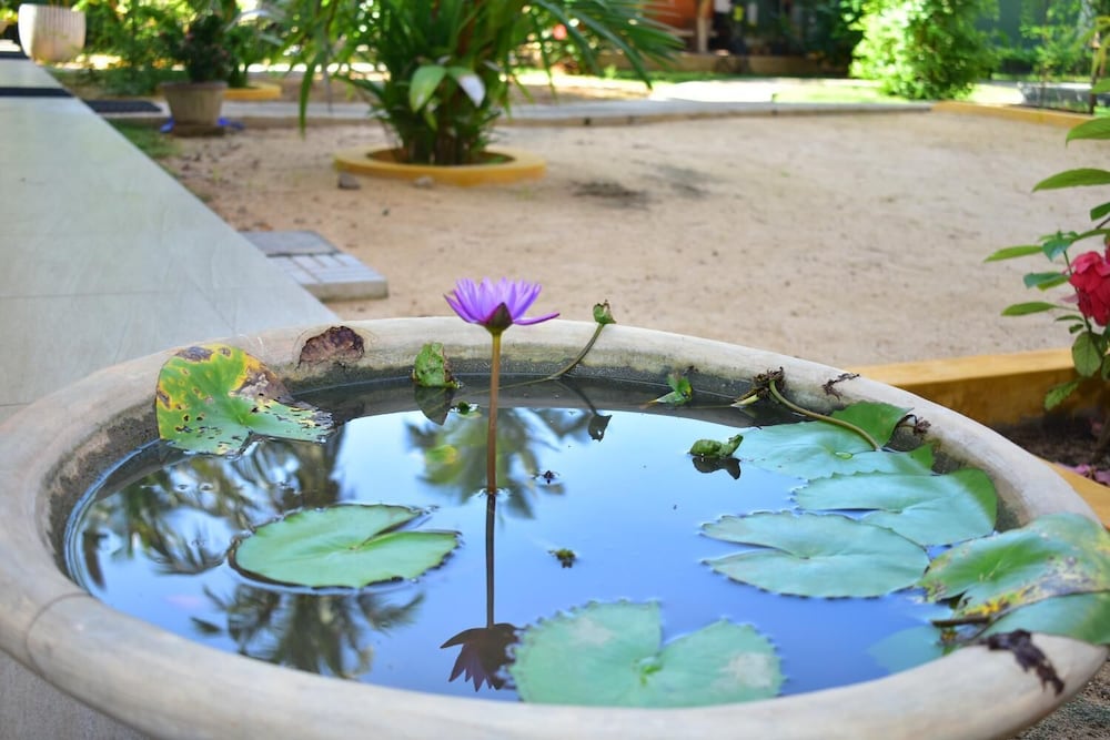 Фото Thambili cabanas