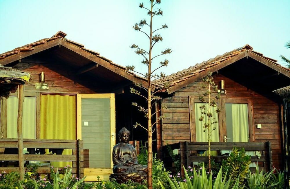 Фото Lotus Sutra