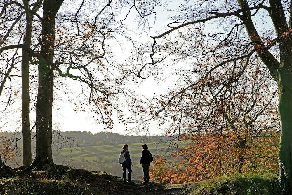 Фото Rollestone Manor