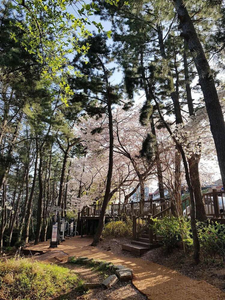 Фото Suntree Hotel