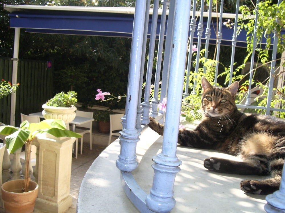 Фото Villa Saint Hubert