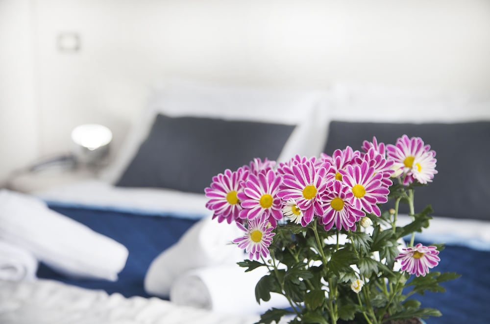 Фото Hotel Stella d'Italia