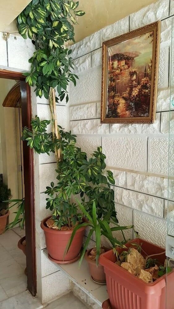 Фото Amaled Hotel